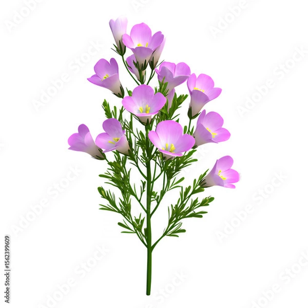Fototapeta Light pink flowers with green stems and leaves on a transparent background. The flowers are delicate and have a soft appearance. The image is digitally rendered.