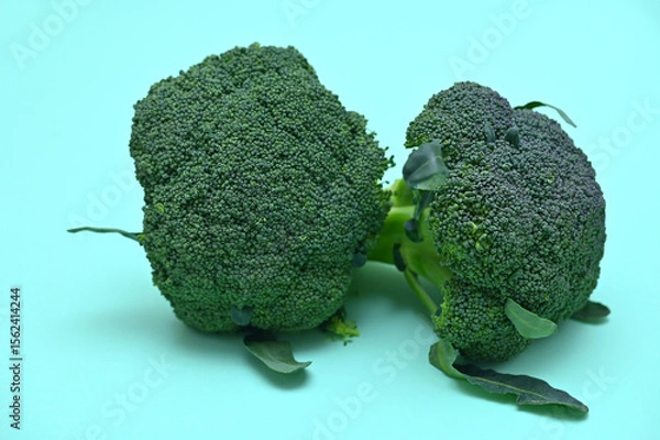 Fototapeta bright image of two cabbage broccoli on a green background