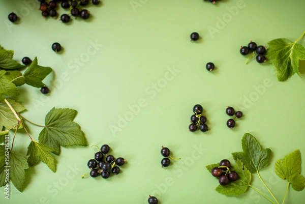 Obraz Blackcurrant berries close-up on a green background