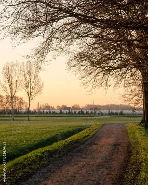 Obraz sunset on the road