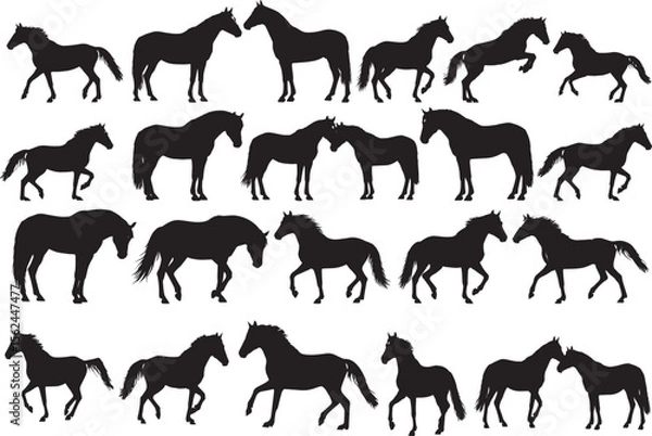 Fototapeta Set of Silhouette Vector Illustration of Horses Including Stallions Mares and Colts in Black and White Minimalist Style
