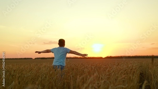 Obraz Boy run through field towards sunset. Teenage boy running with his arms raised, through wheat field. Child boy dream of traveling in nature. Child boy playing superhero in wheat field, child dream fly