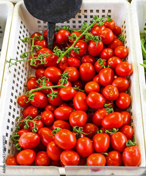 Obraz Fresh organic red plum tomatoes pile in crate on market
