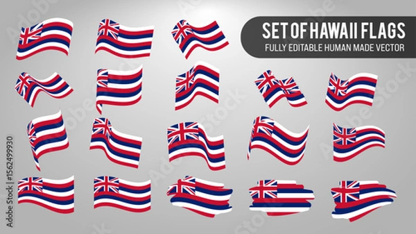 Obraz Vector Set of Hawaii Flags