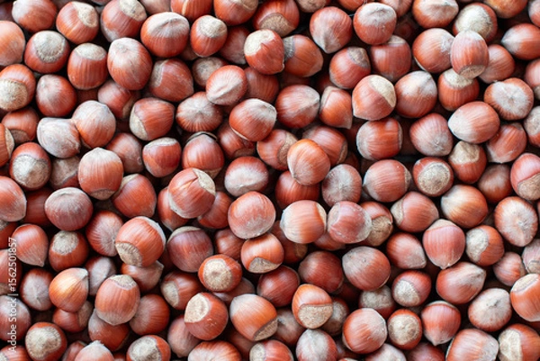 Fototapeta Close-up, many hazelnuts scattered across the surface create a textured food background to showcase food concepts such as healthy eating, snacking, and large harvest