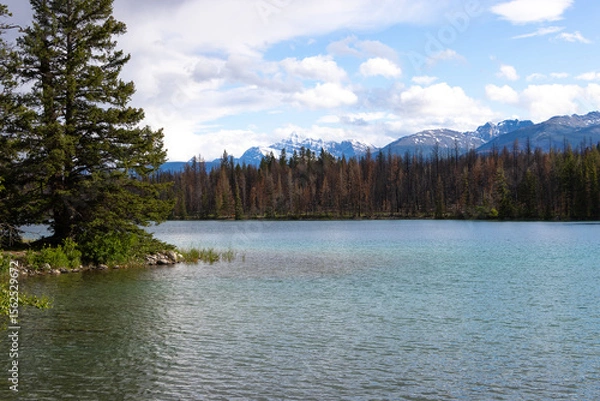 Fototapeta lake and forest with mountains in distance with white clouds on summer day in the Canadian Rocky Mountains