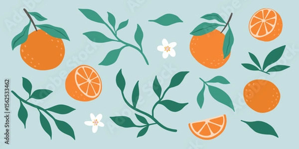 Obraz Fresh juicy orange fruit flowers and leaves isolated on a green background. Colorful half and whole orange with a leaf. Perfect for juice or jam. Vector illustration.