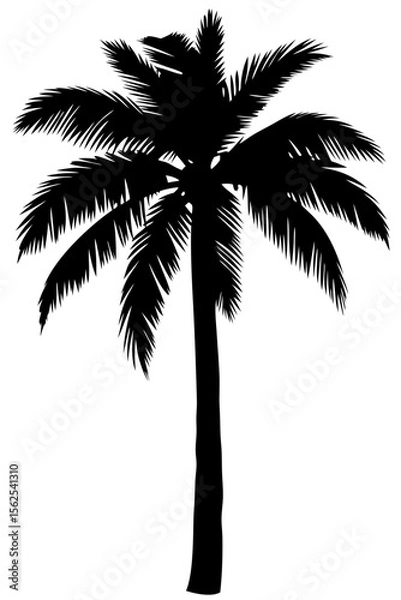 Obraz Minimal vector silhouette of a single palm tree, centered with no ground or soil. Isolated on transparent background, perfect for tropical, summer, and clean design projects.