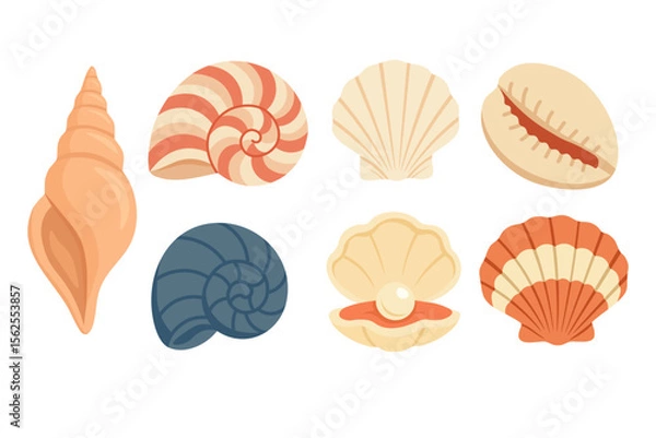Fototapeta Cartoon collection of colorful sea shells and pearl. Flat vector illustration for summer and beach theme.