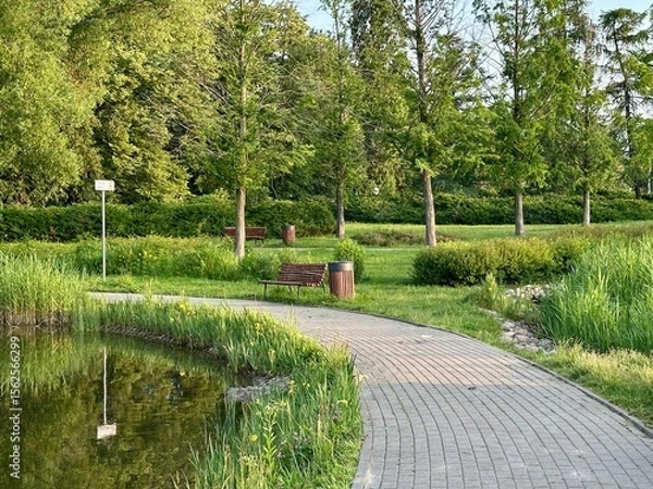 Fototapeta Natural scenery with small lake, grass, and forested area under a clear sky. Tranquil outdoor setting.