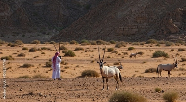 Obraz Arabian Oryx graze in the desert, watched by a Bedouin man with traditional attire and tools.