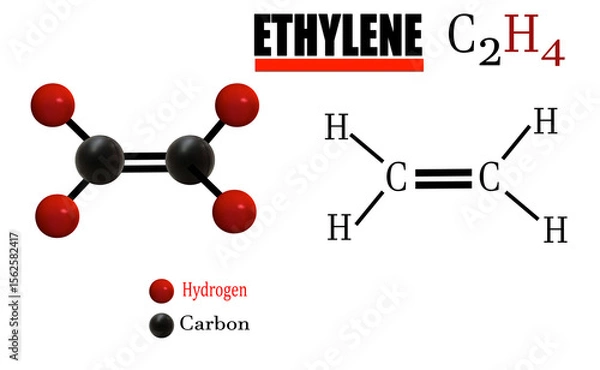 Fototapeta This 3D illustration shows the structure of ethylene, a gas important for making plastics and controlling how plants grow and fruits ripen.