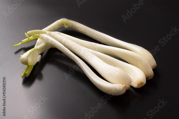 Fototapeta エシャレット