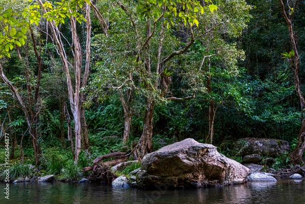 Obraz Crystal Cascades is a freshwater creek. The area features numerous cascade waterfalls and swimming holes in a rainforest habitat