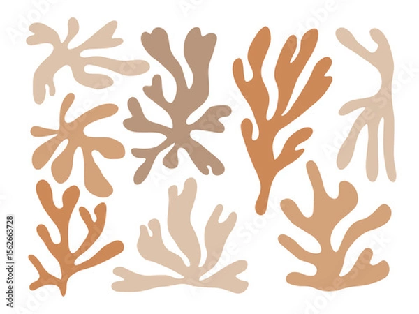 Fototapeta Botanical Coral Silhouette Collection. A collection of 8 abstract botanical silhouettes featuring coral inspired organic leaf shapes with soft flowing contours. Perfect for decor