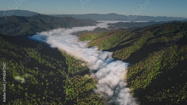 Obraz Aerial drone view of morning mist flowing through forested valley between mountain ranges in Chiang Mai Province, Thailand, creating a breathtaking natural landscape