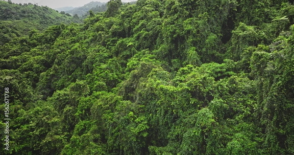Obraz Aerial drone footage captures the breathtaking expanse of vibrant green vegetation blanketing the mountainside, creating a mesmerizing tapestry of nature's untouched beauty in a tropical rainforest