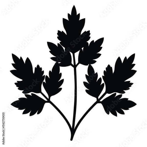 Obraz Simple black silhouette vector of parsley leaf perfect for culinary, nature, and design projects