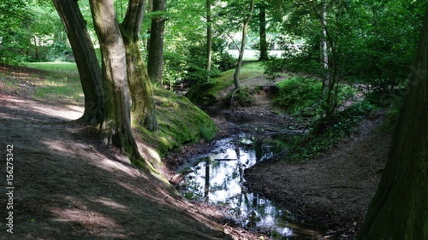 Obraz A river in a forest