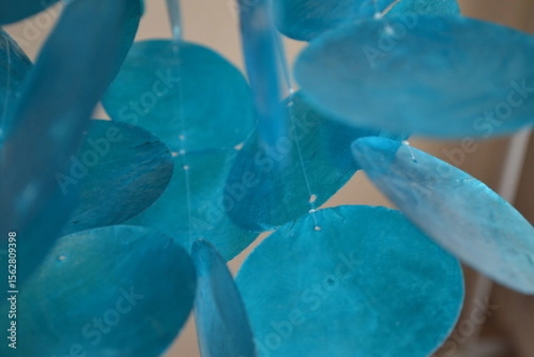 Fototapeta Close Up Blue Shell Chimes