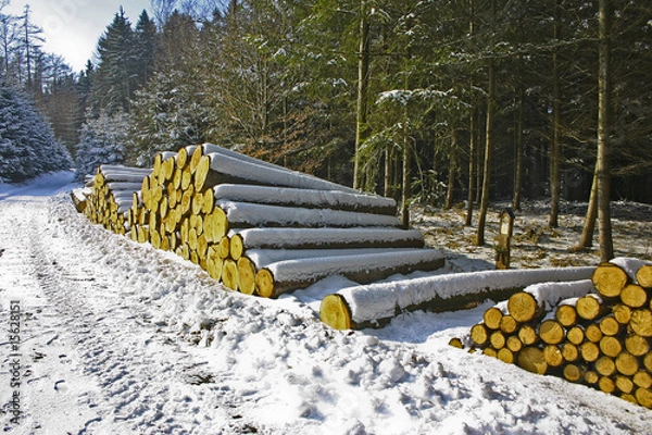 Obraz Holzstapel im Winter