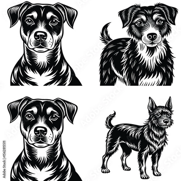 Fototapeta Foreigner Dog Vector Silhouette Bundle Collection. Dog Vector