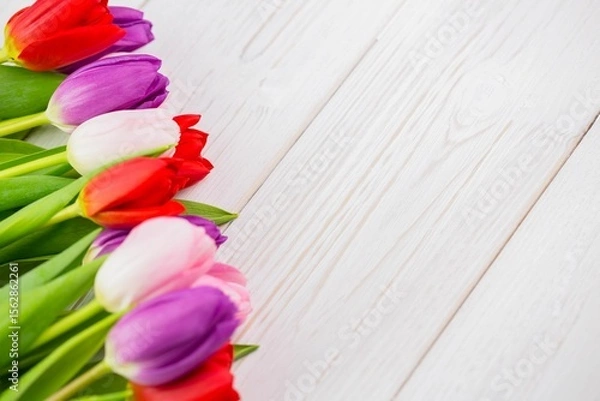 Obraz Colorful tulip blossoms with green stems are lining diagonal white wood planks in flat design