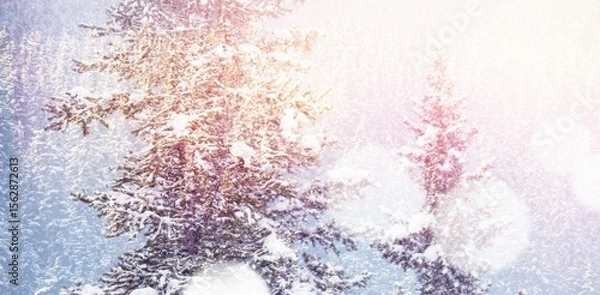 Fototapeta Snow covered trees on during winter