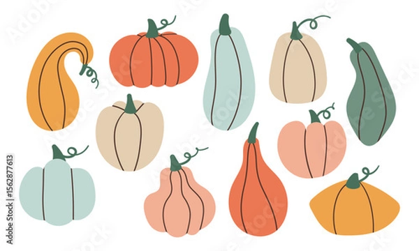 Obraz Set of pumpkins of different colors. Cute hand drawn pumpkins, vector illustration .Cozy autumn element ,health food , thanksgiving day design element .