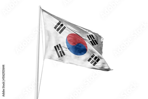 Obraz South Korea flag 