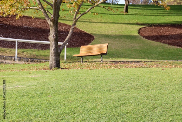 Obraz empty bench in the park at geelong