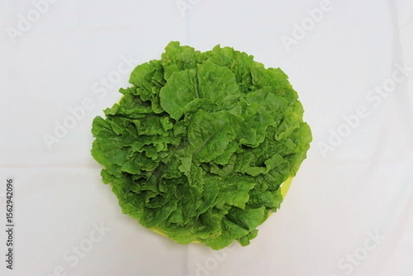 Obraz 신선한 채소