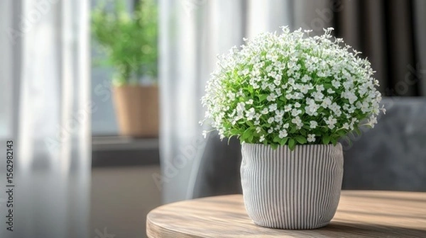 Fototapeta Tiny white flower plant sits on round wooden table