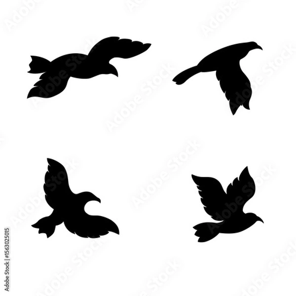 Obraz silhouette of flying bird with various movement positions