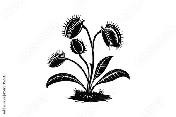 Obraz Venus flytrap plant with leaves vector silhouette