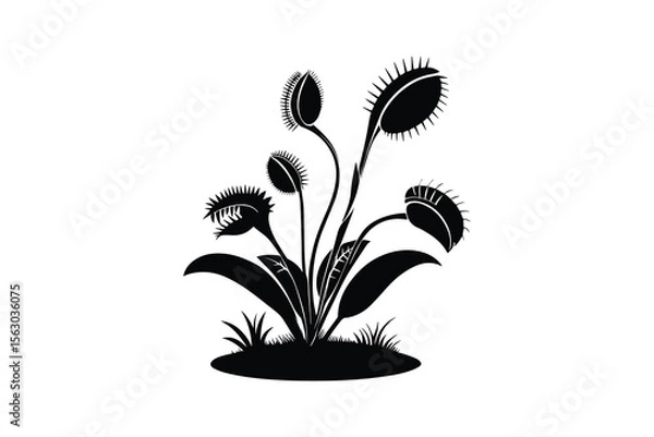 Obraz Venus Flytrap Plant Silhouette on White Background