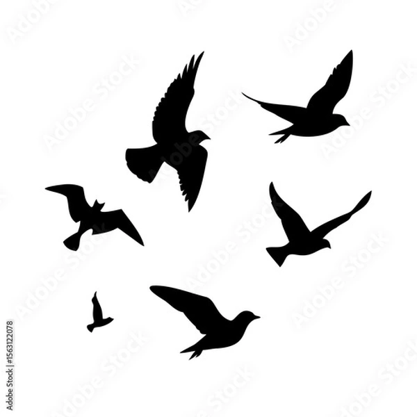 Fototapeta Silhouette of birds in flight, perfect for graphic design or nature-themed projects.