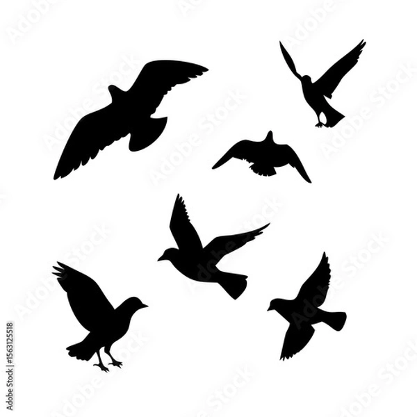 Fototapeta Silhouette of Birds in Flight, Perfect for Design Projects
