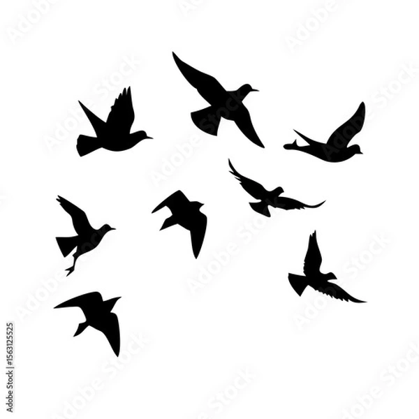 Fototapeta Silhouettes of birds in flight, a graphic design element.