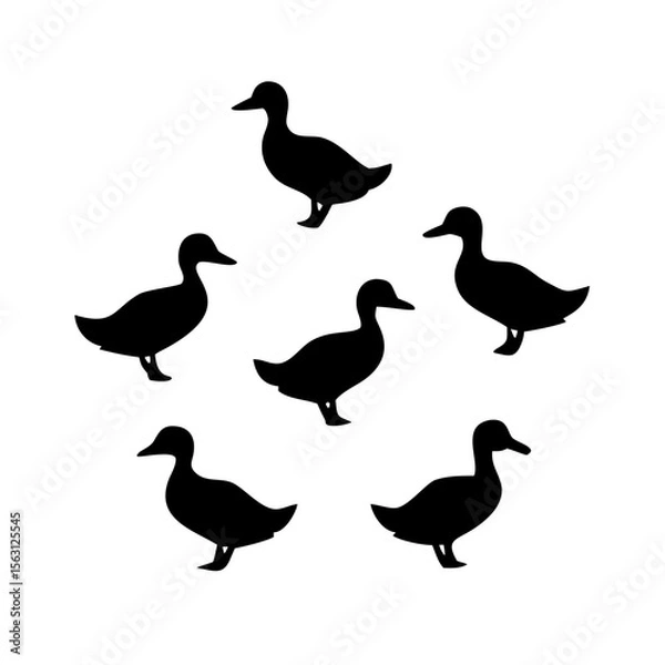 Fototapeta Silhouette of six ducks arranged in a circle.