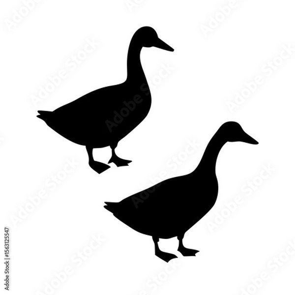 Fototapeta Simple black silhouettes of two ducks against a white background.