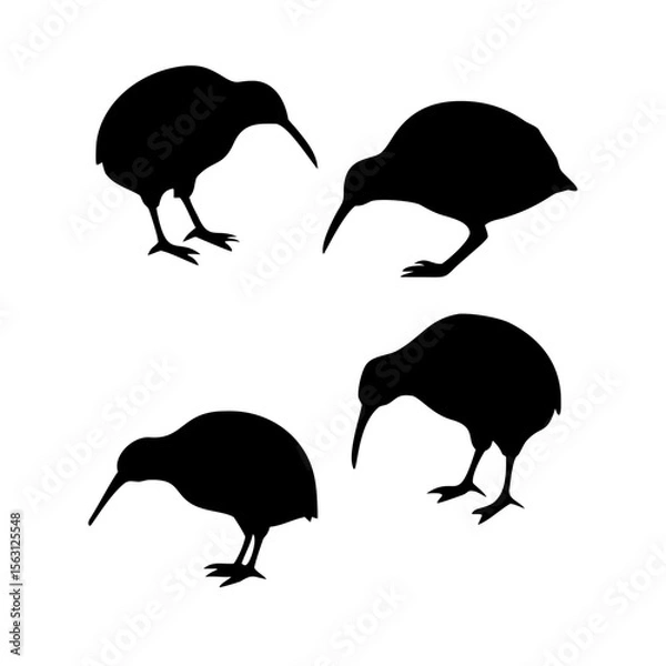 Fototapeta Four Kiwi Bird Silhouettes Showcase Unique Poses