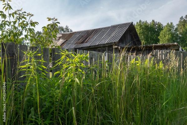 Fototapeta Old wooden fence and overgrown green vegetation in front of abandoned rural barn with weathered roof, surrounded by dense forest and summer sky in remote Latvian countryside