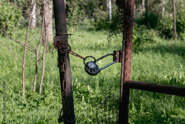 Fototapeta Old rusty chain and padlock securing broken metal gate in overgrown forest field, symbolizing abandonment, isolation, and forgotten access in rural natural surroundings