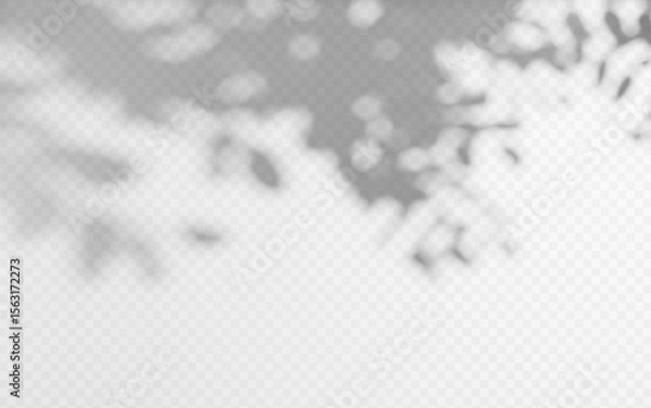 Obraz Abstract shadow overlay from tree branch on a transparent background.