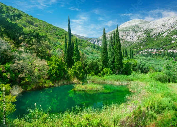 Fototapeta Lake in a summer green forest