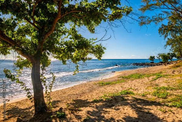 Fototapeta Wild beach at the “Pointe aux Piments” in the west of the tropical vacation paradise of Mauritius (Indian Ocean). Black lava rocks, fine light-colored sand, turquoise-blue clear water and vegetation