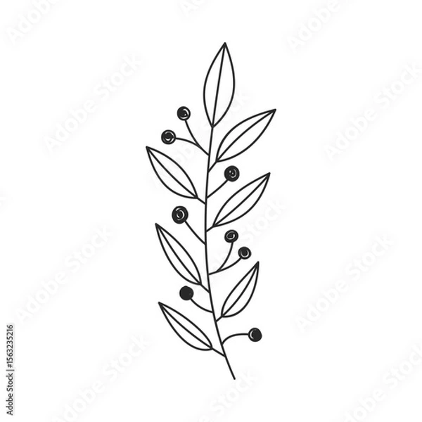 Fototapeta Doodle laurel branch. Hand drawn floral design. Simple botanical design element in linear style. Vector 10 EPS.