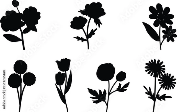 Fototapeta Types of Flowers Vector Silhouettes – Floral Shape Collection of Botanical Icons

