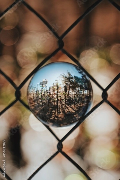 Fototapeta in the net